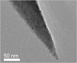 PointProbe® AFM Probes